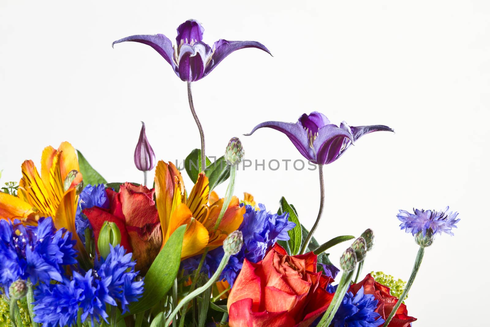 Huge flower bouquet on white background