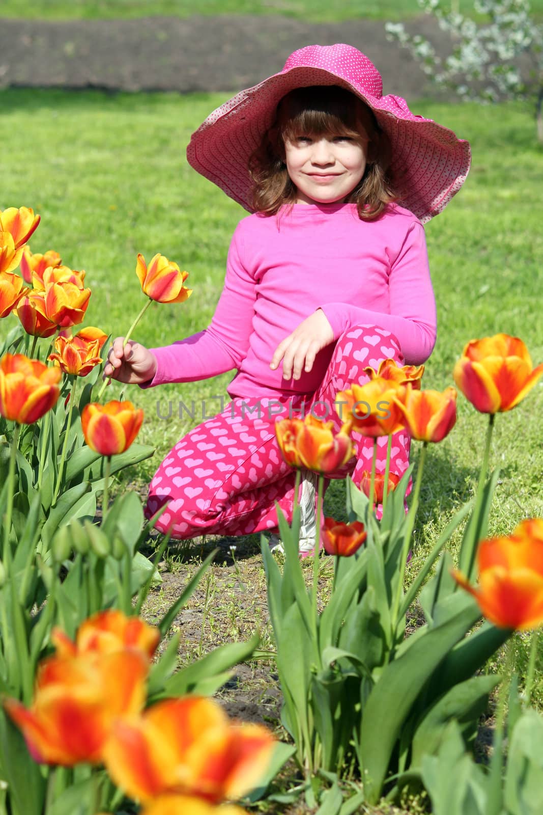 little girl in tulip garden by goce