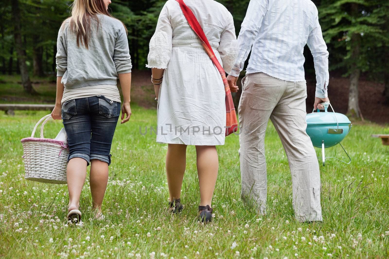 Rear view of friends in casual wear on a weekend picnic in forest park