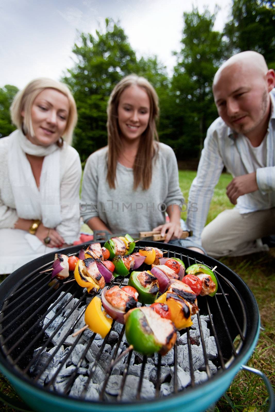 Friends Barbecue in Park by leaf