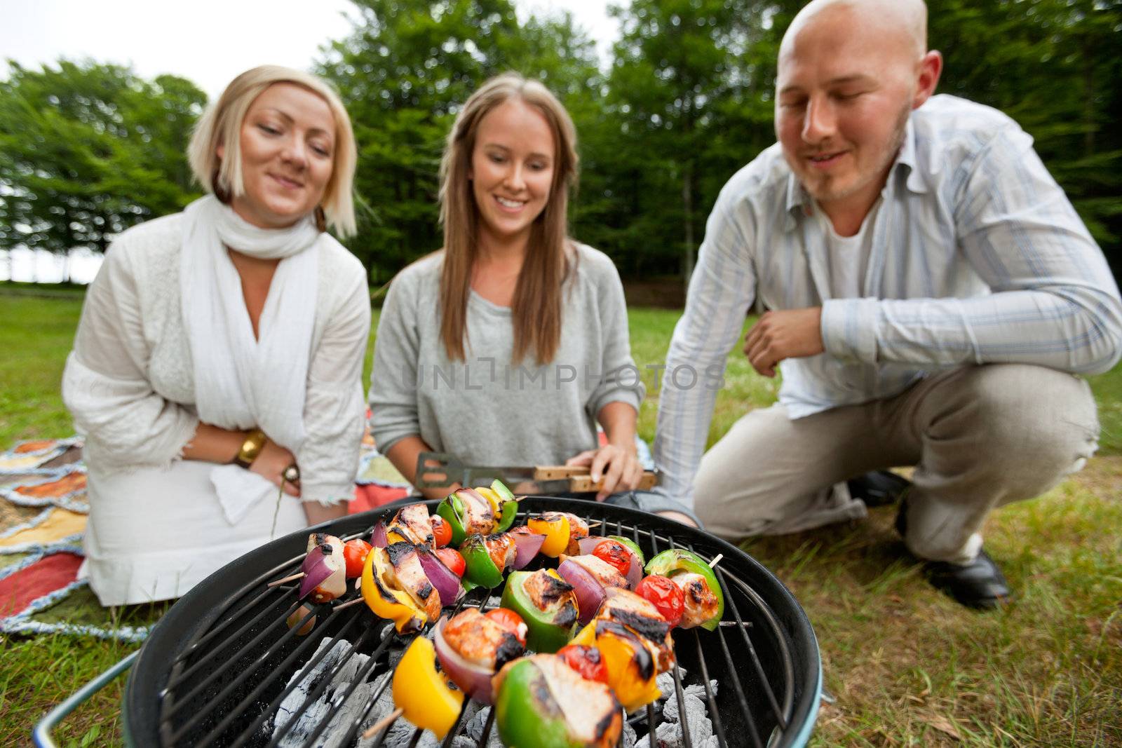 Kebabs on Portable Barbecue by leaf