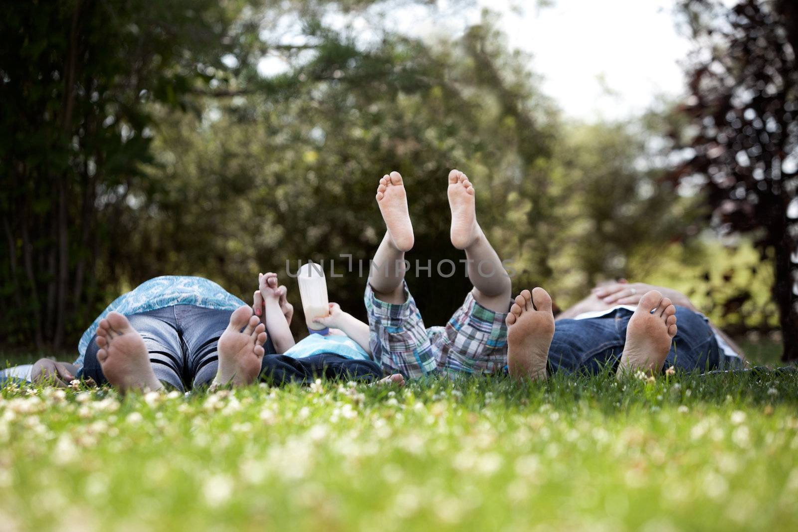 Family Portrait of Feet by leaf