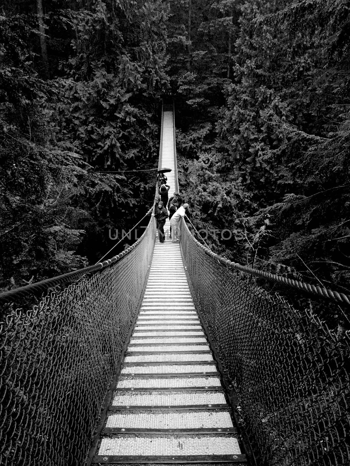 People on a very long suspension bridge by anderm