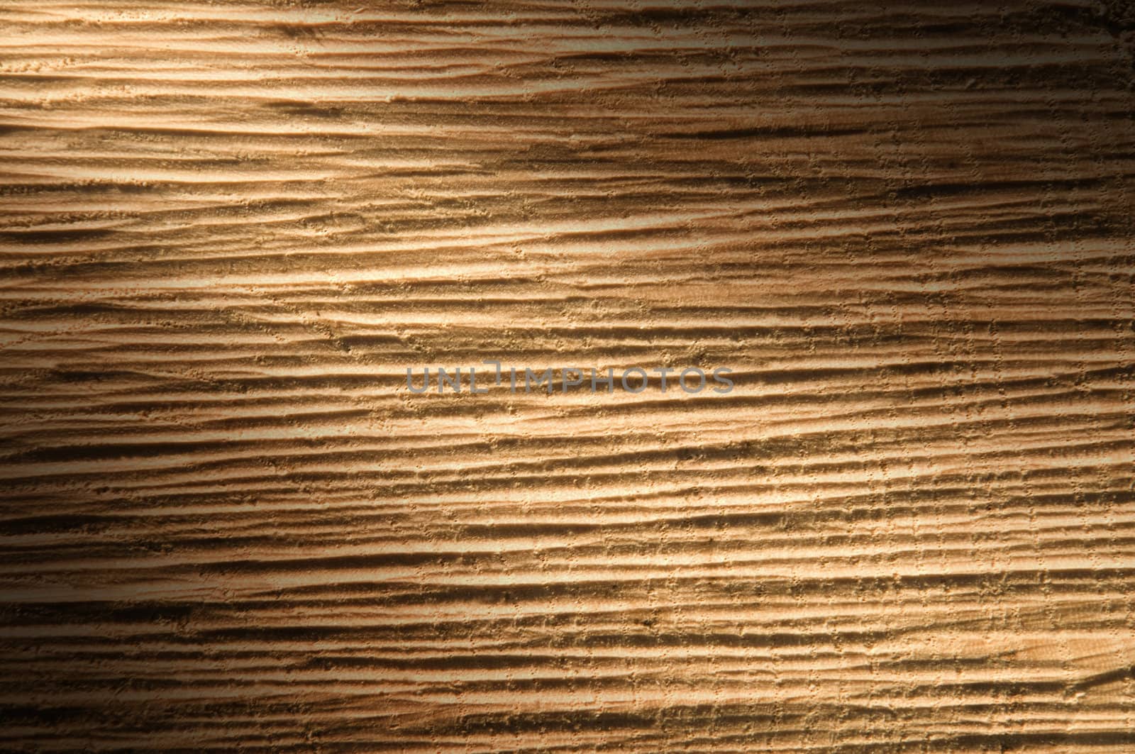 Texture of Rough-Cut Timber Wood Lit Diagonally