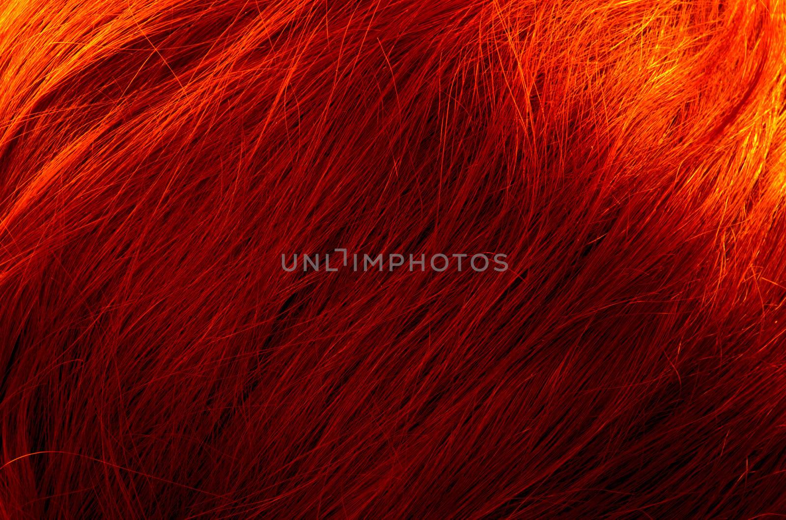 Hair
