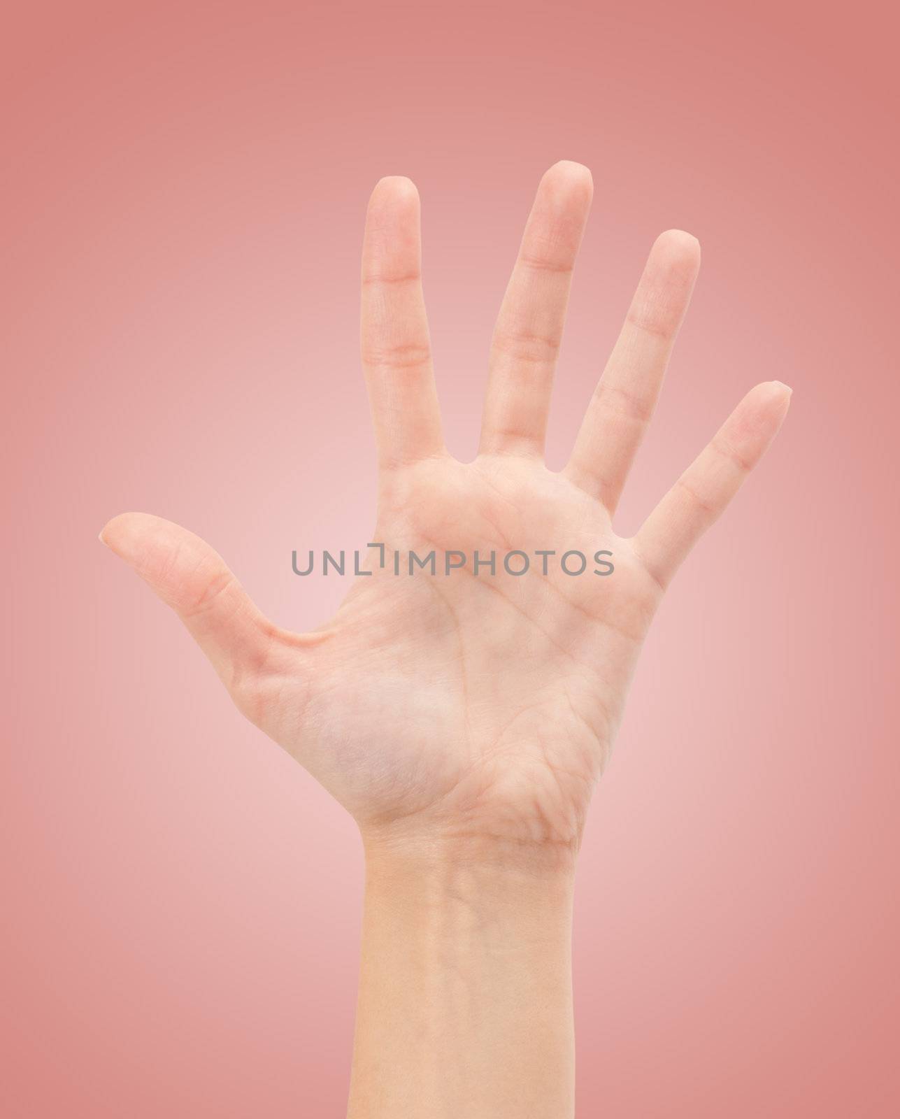 Open woman hand or number five isolated on white 
