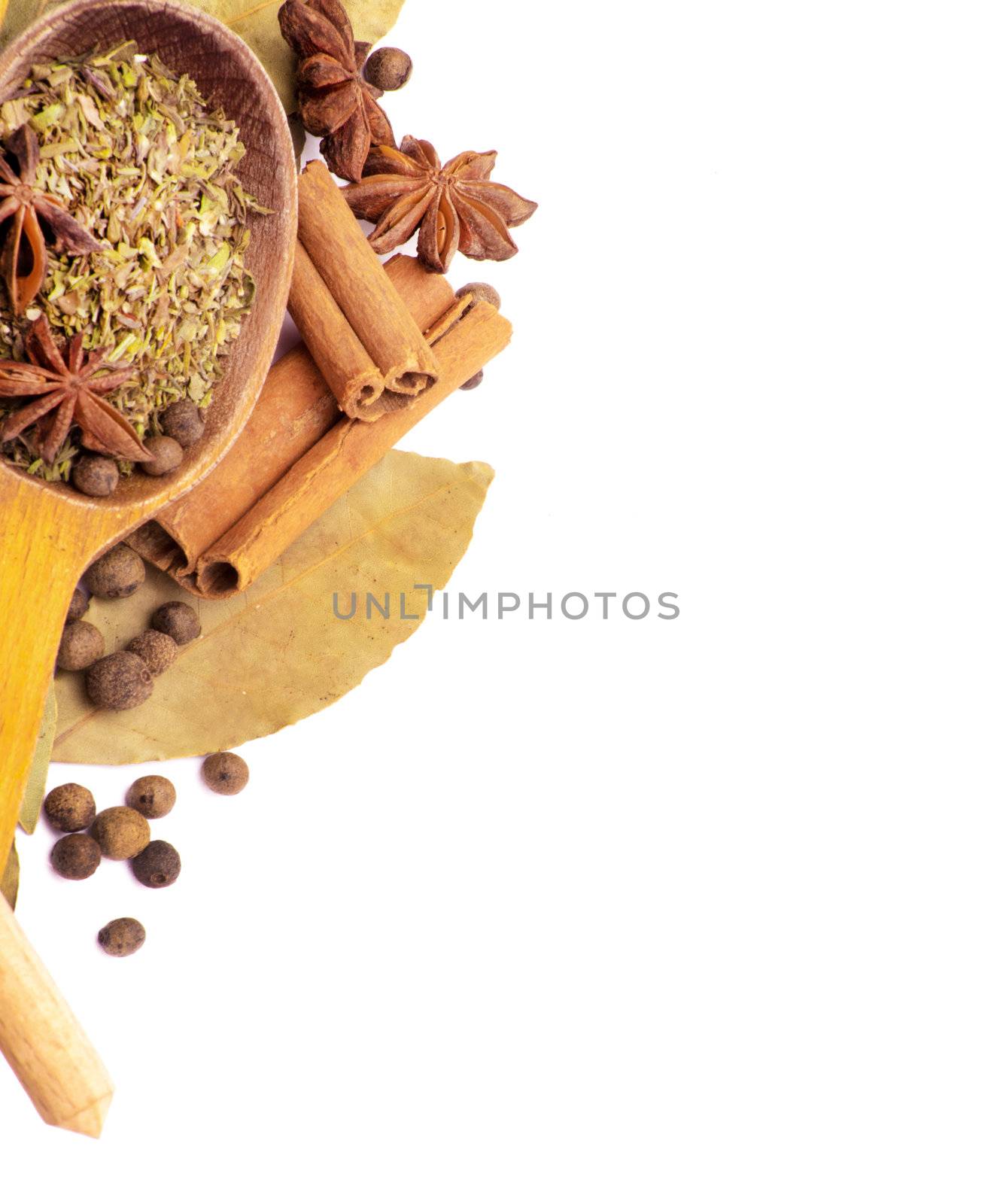 Spices border isolated on white