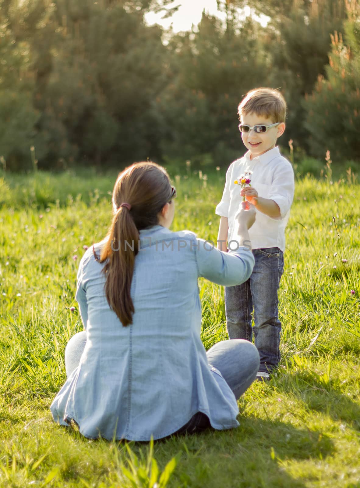 Son giving a bouquet of flowers to his mother in a field by doble.d