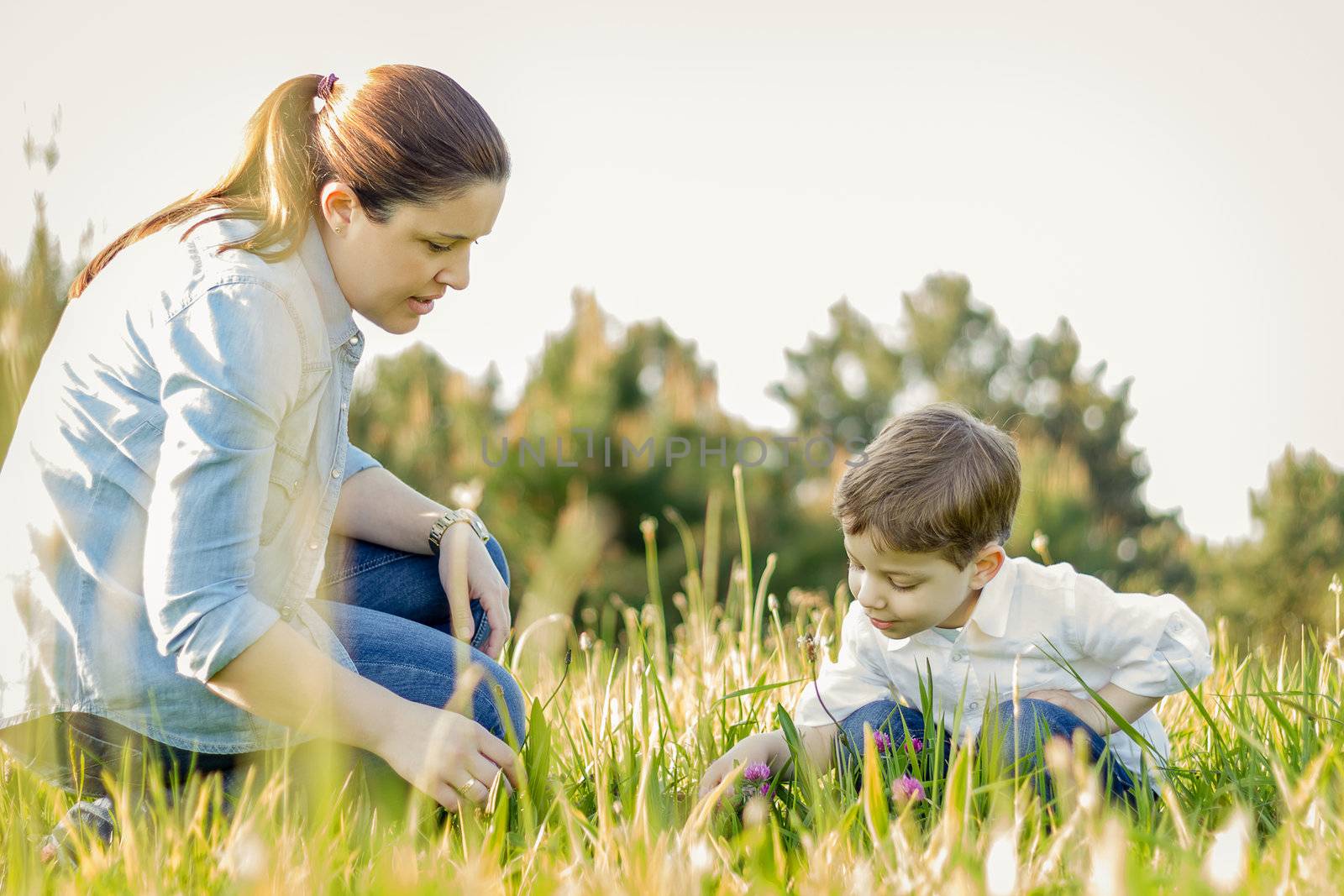 Pregnant mother and son picking flowers in a field by doble.d