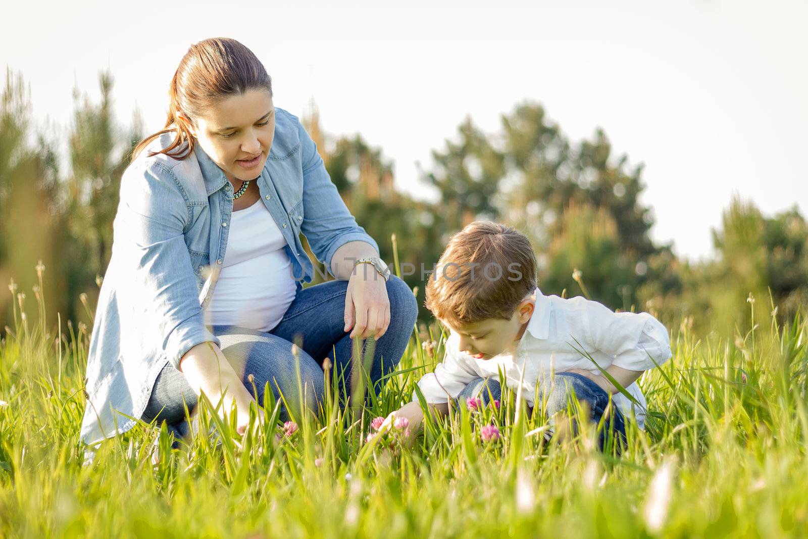 Happy pregnant mother and cute son picking a bouquet of flowers in a sunny field