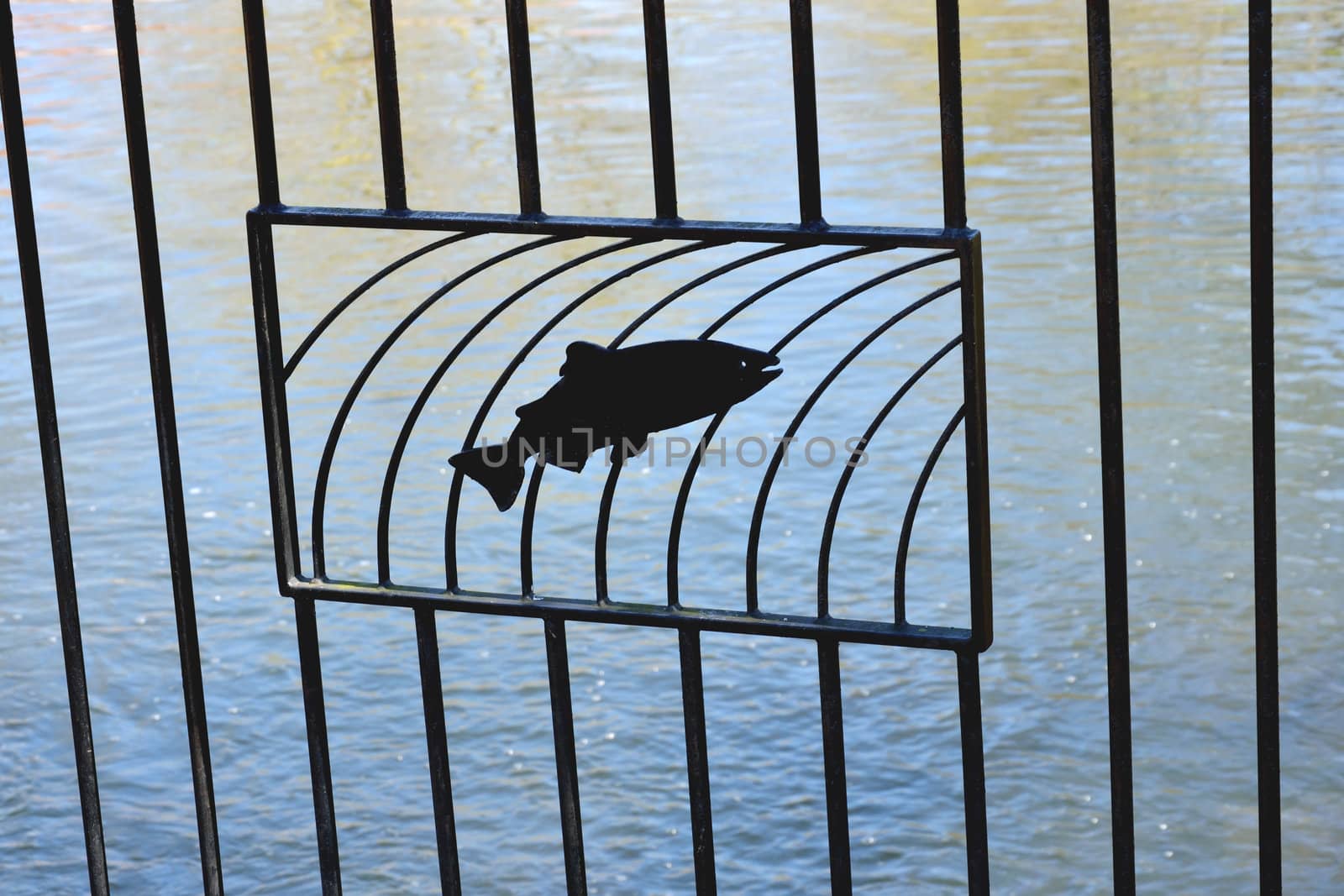 fish sillhouette on railings