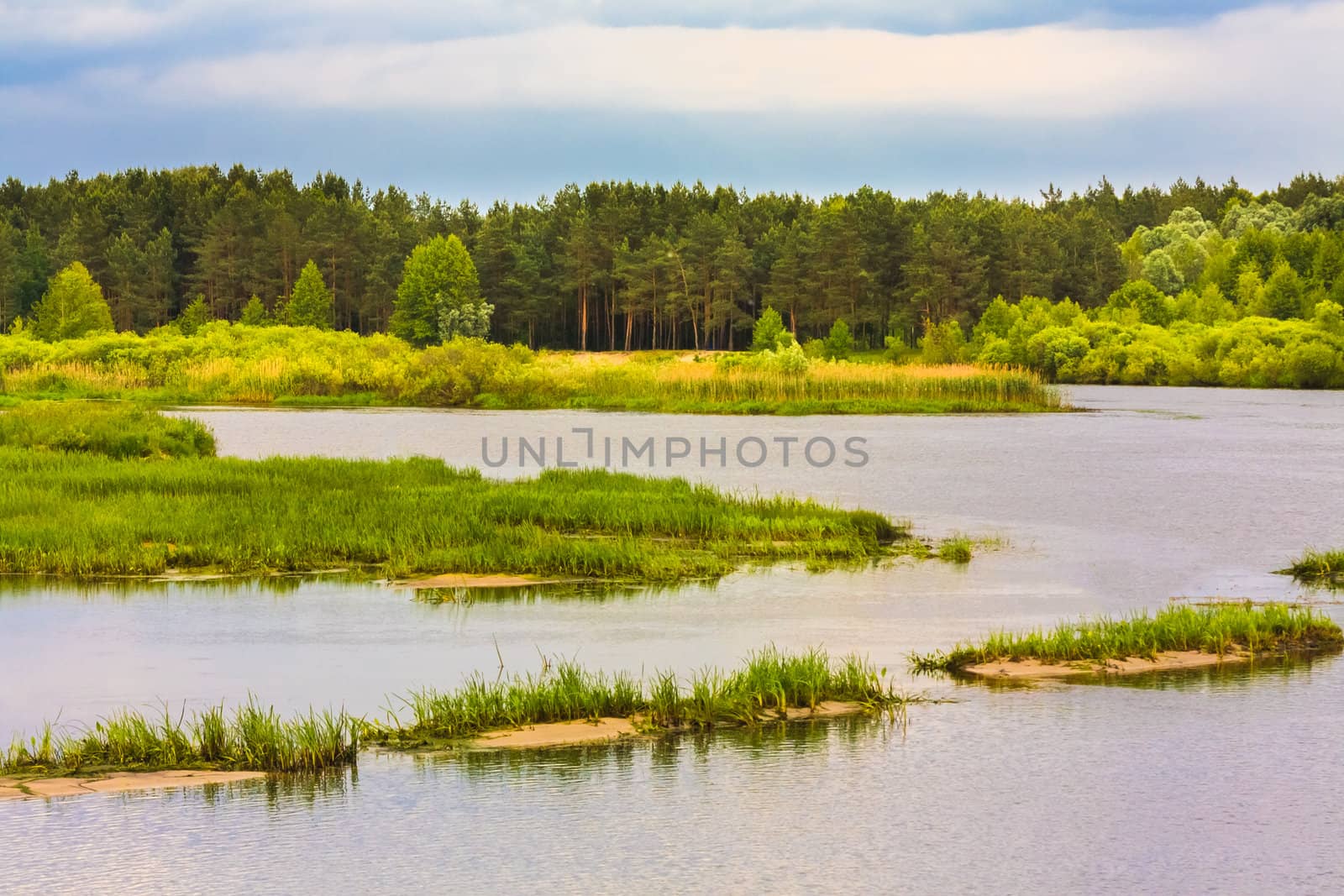 Summer Forest River With Small Islands