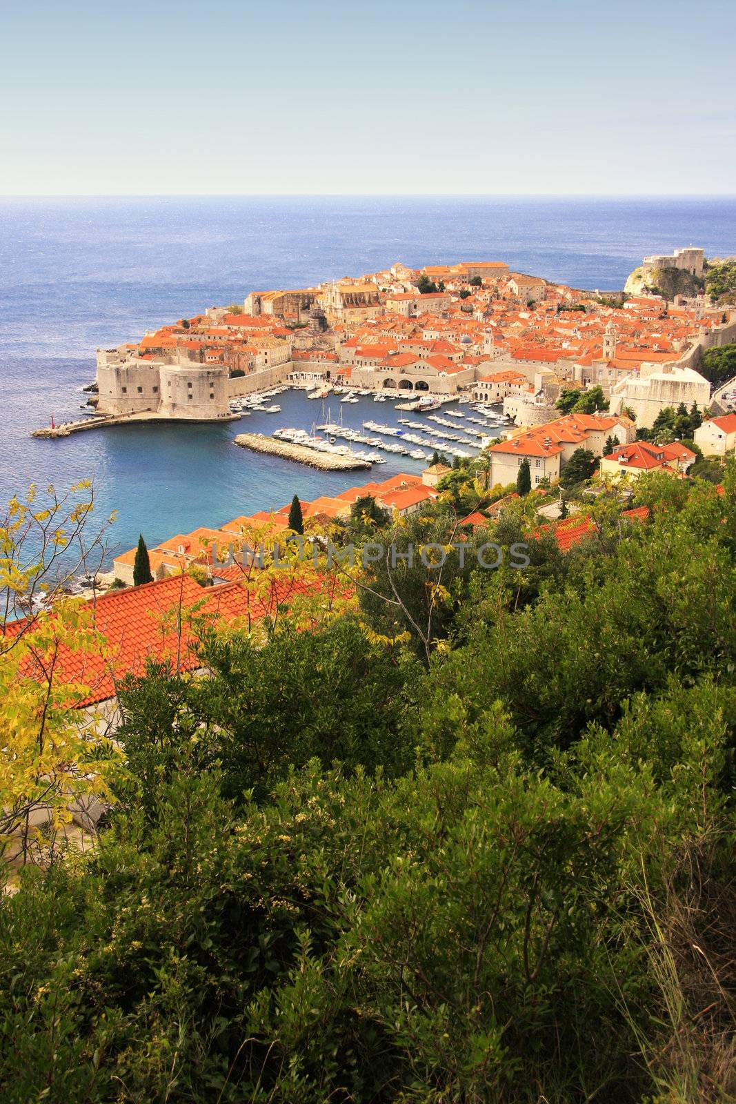 Old Harbour at Dubrovnik, Croatia