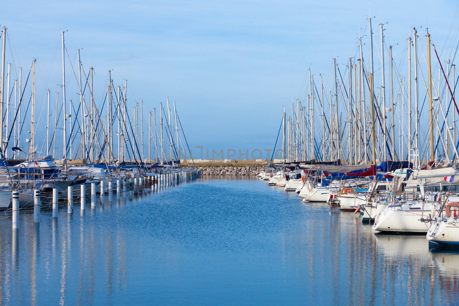 Rows of small luxury pleasure yachts moored in a marina under a sunny blue sky