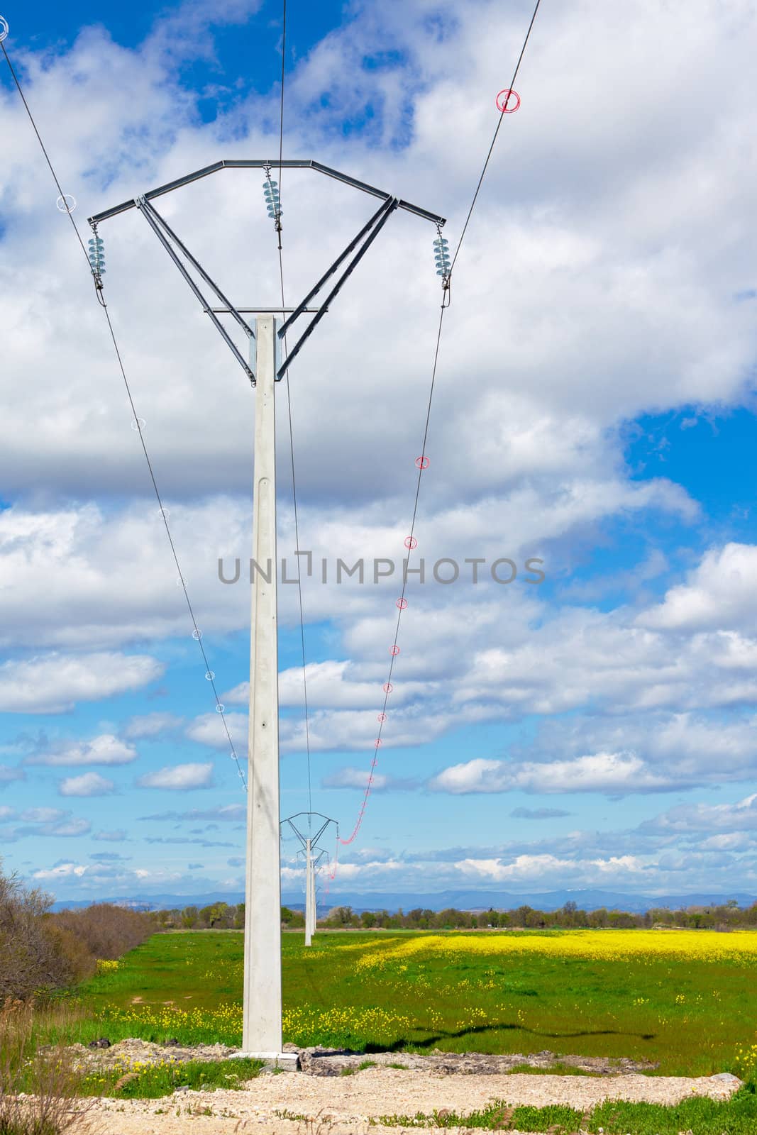 Row of rural electrical power lines by Discovod