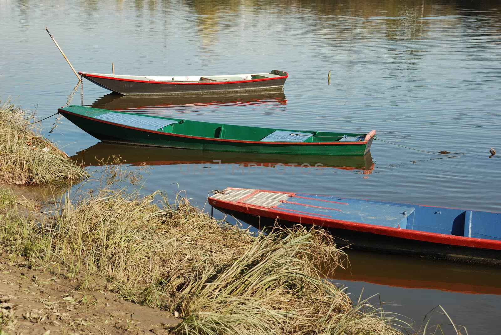 boat on a river
