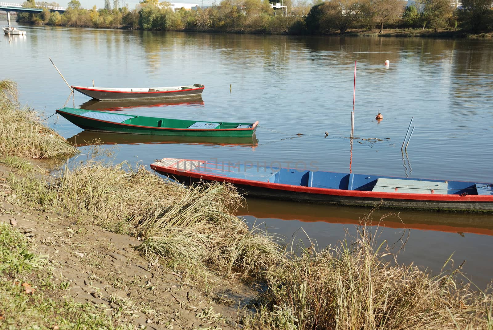 boat on a river