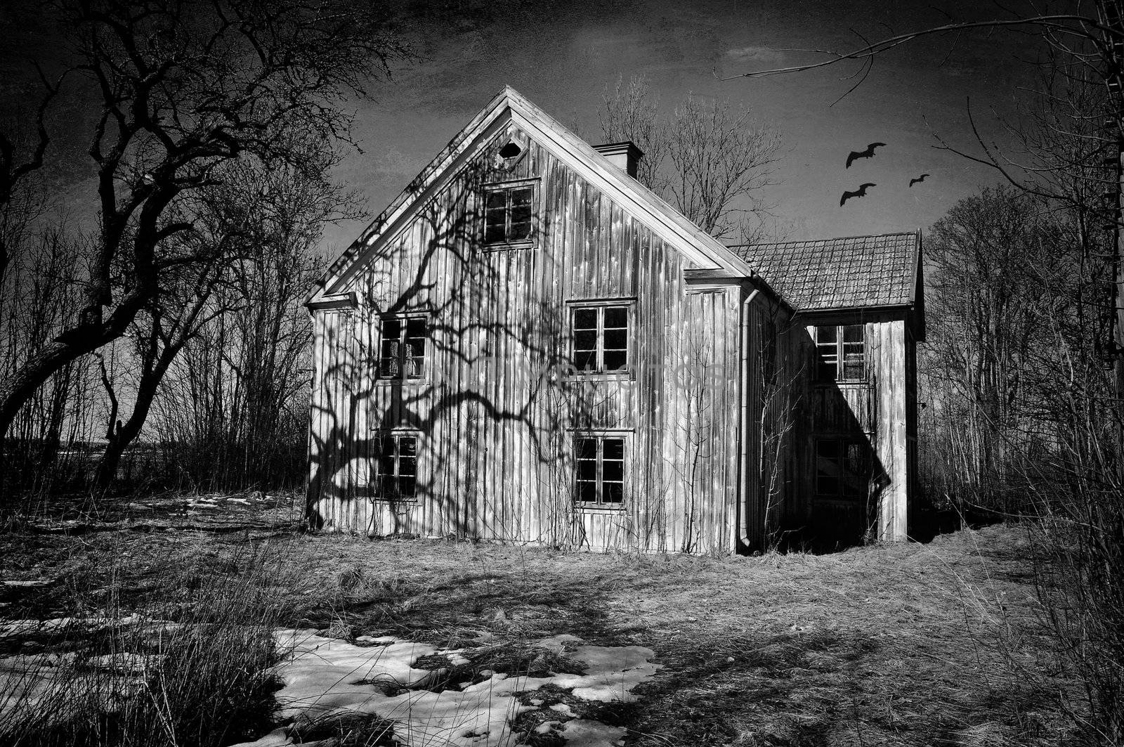 Old dilapidated house in black and white with scary shadows and trees, textured effect.