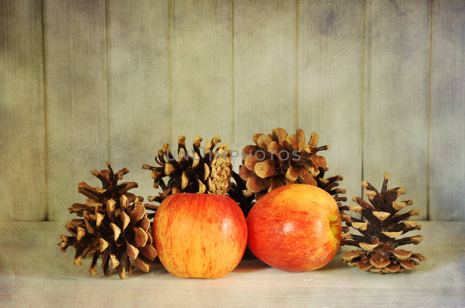 Red apples and pine cones textured vintage style