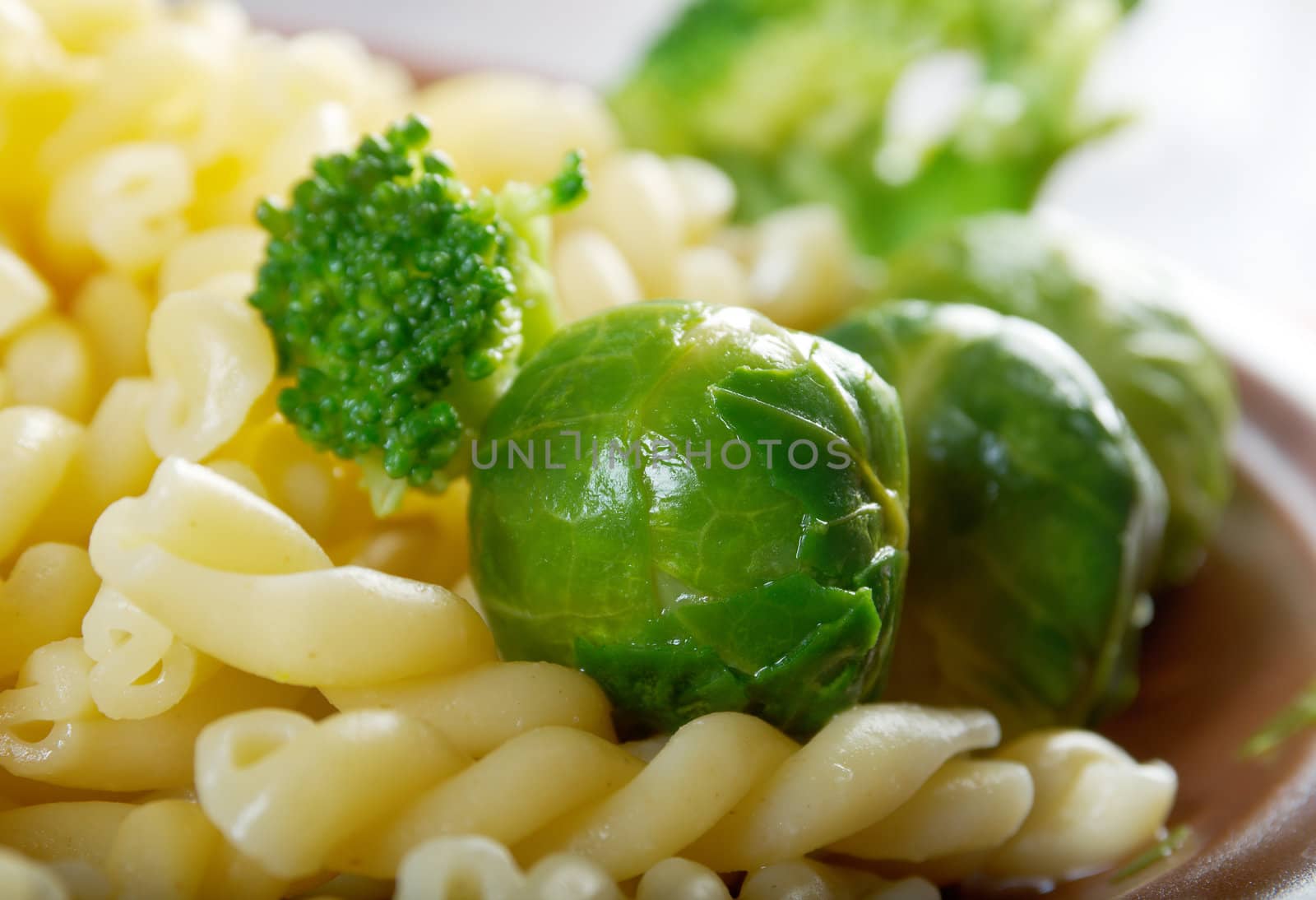 delicious macaroni pasta  with vegetableon
