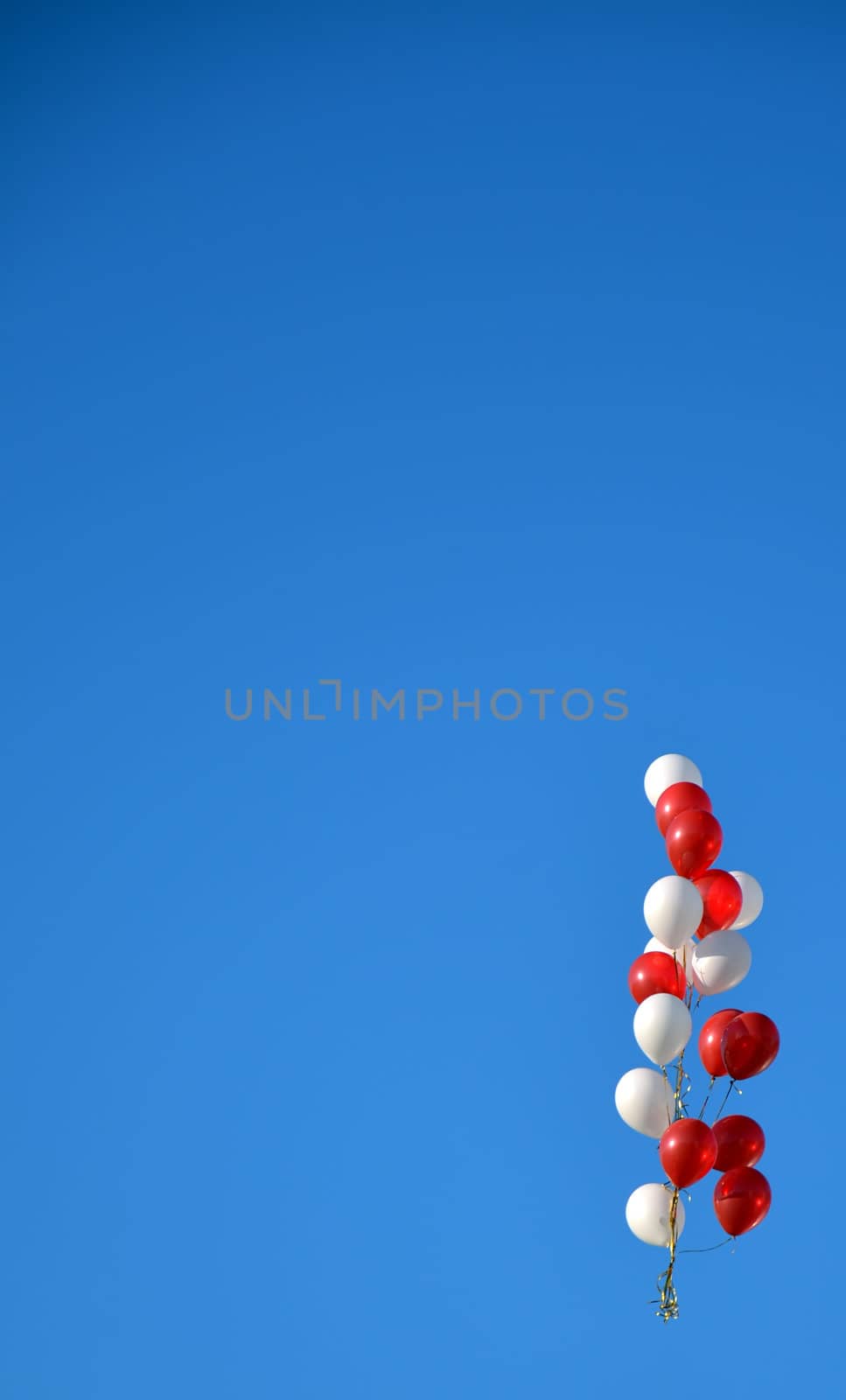 Sky background with a bunch of red and white balloons by pt-home