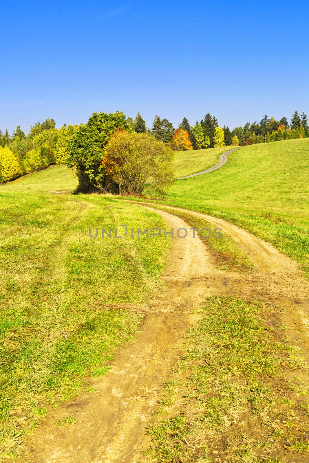 Landscape and winding track by TristanBM