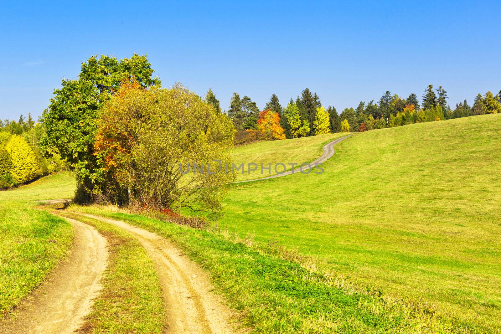 Fall landscape composed of a winding track, meadow and blue sky
