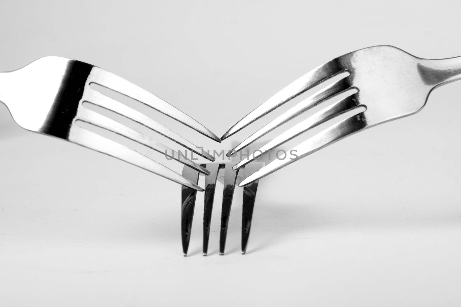 Shiny stainless steel forks on a white background