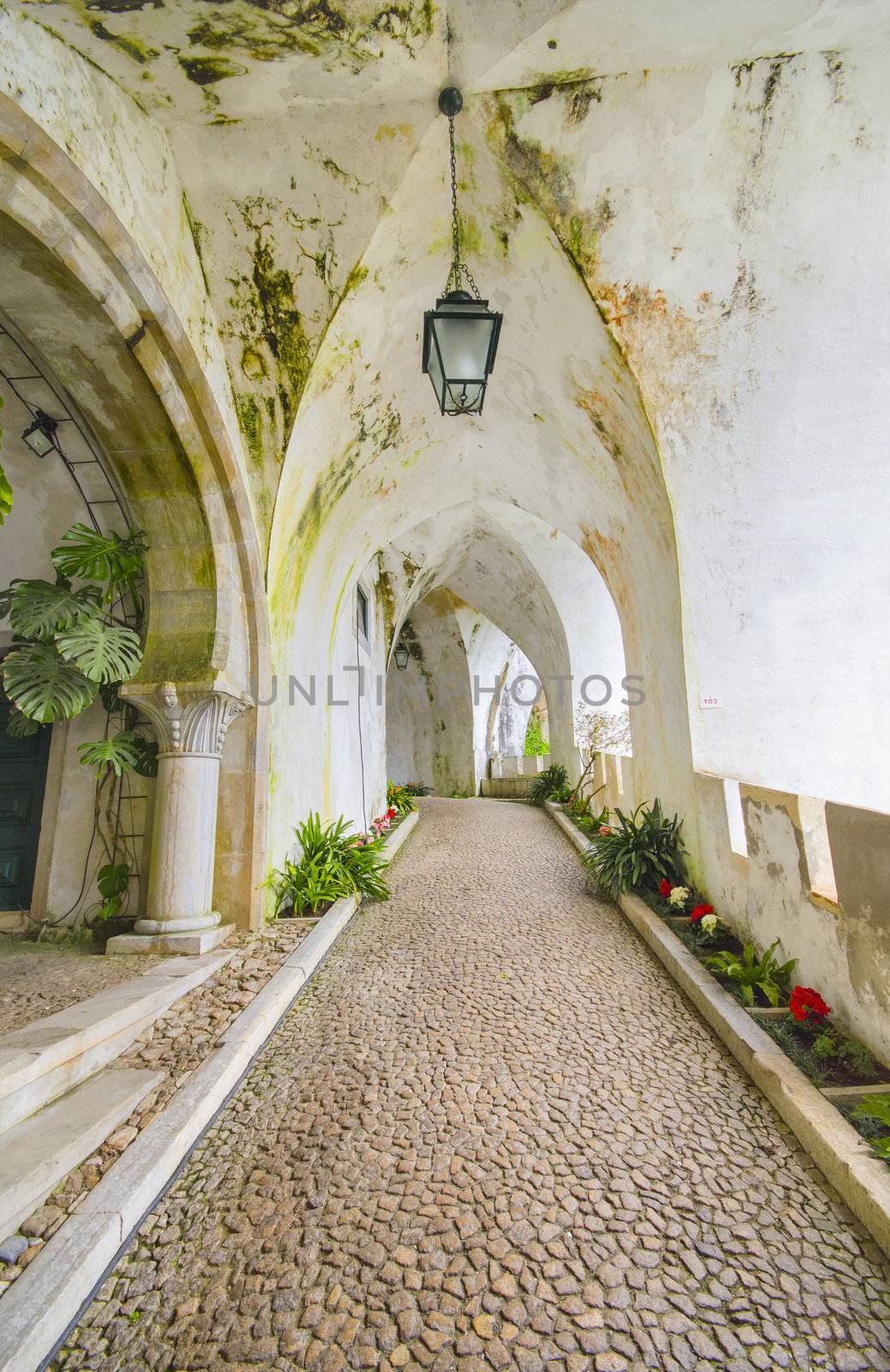 Ancient Corridor at Castle da Pena in Sintra, Portugal by HERRAEZ