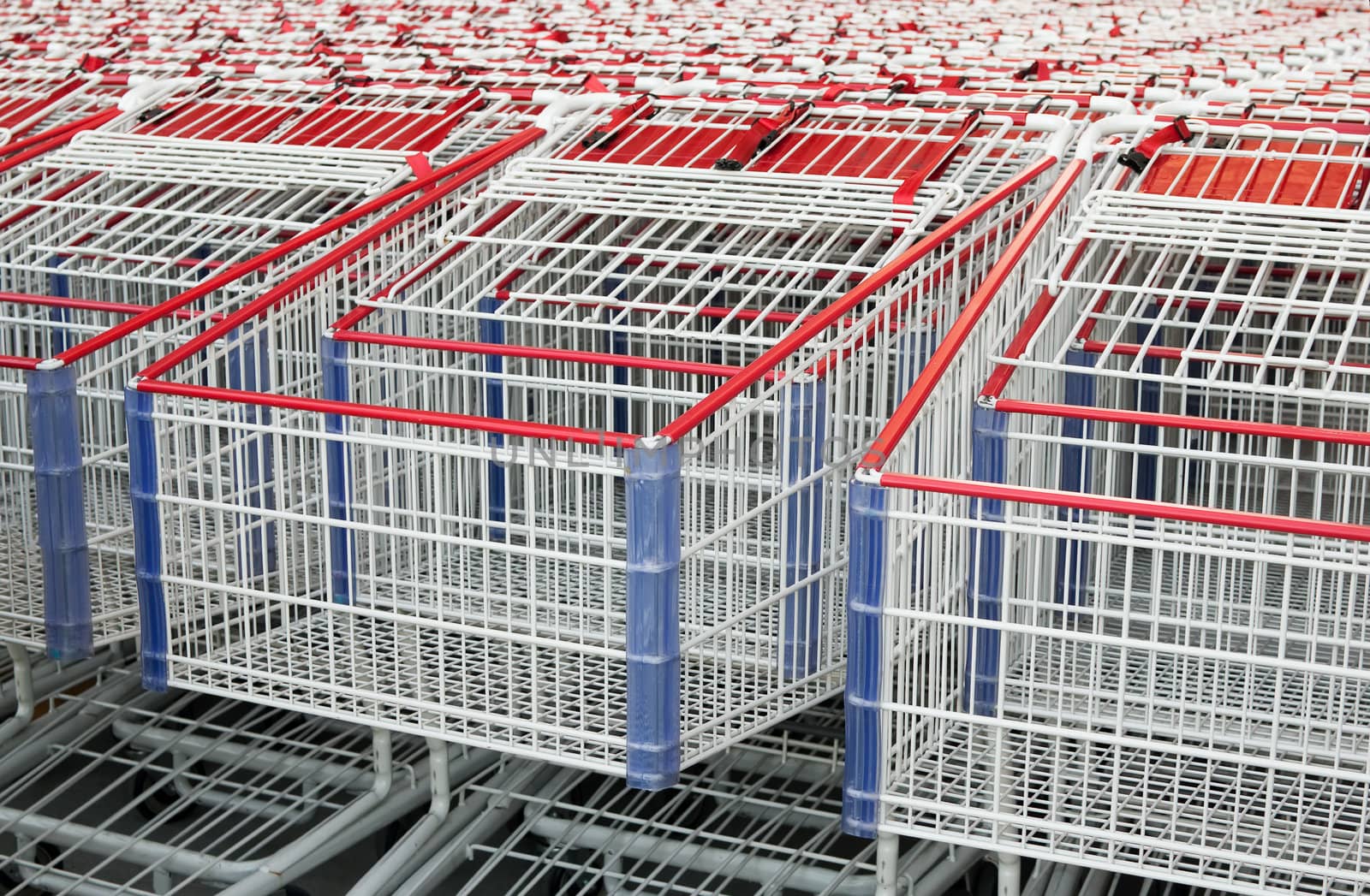 American shopping carts that are stacked together.