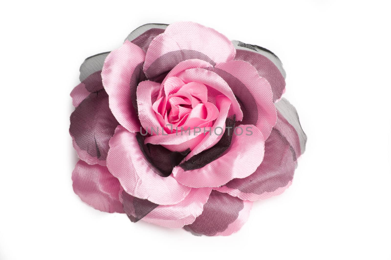 A pink flower hair clip for women on isolated white background with vector path.