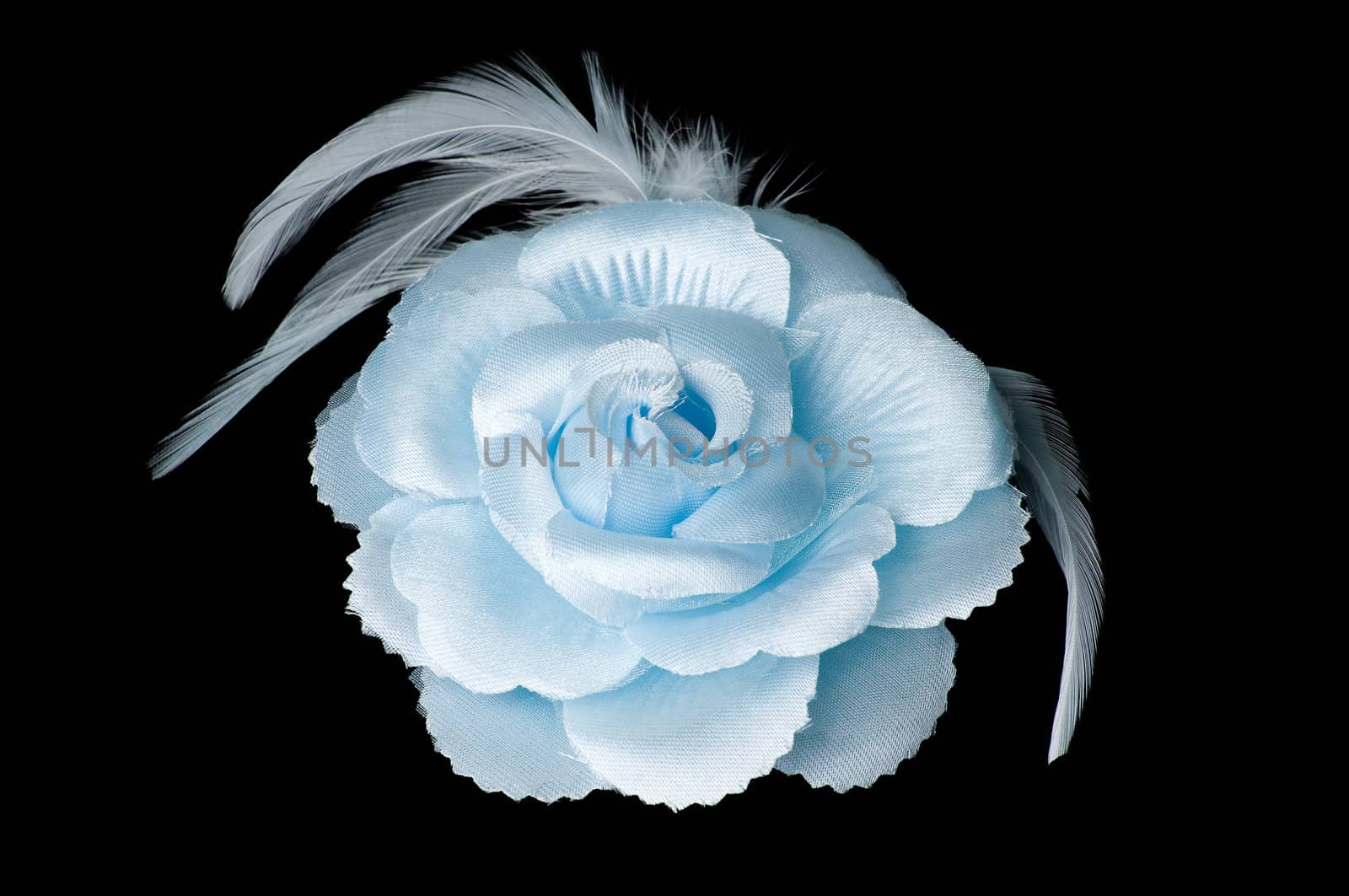 A blueflower hair clip for women on isolated black background with vector path.