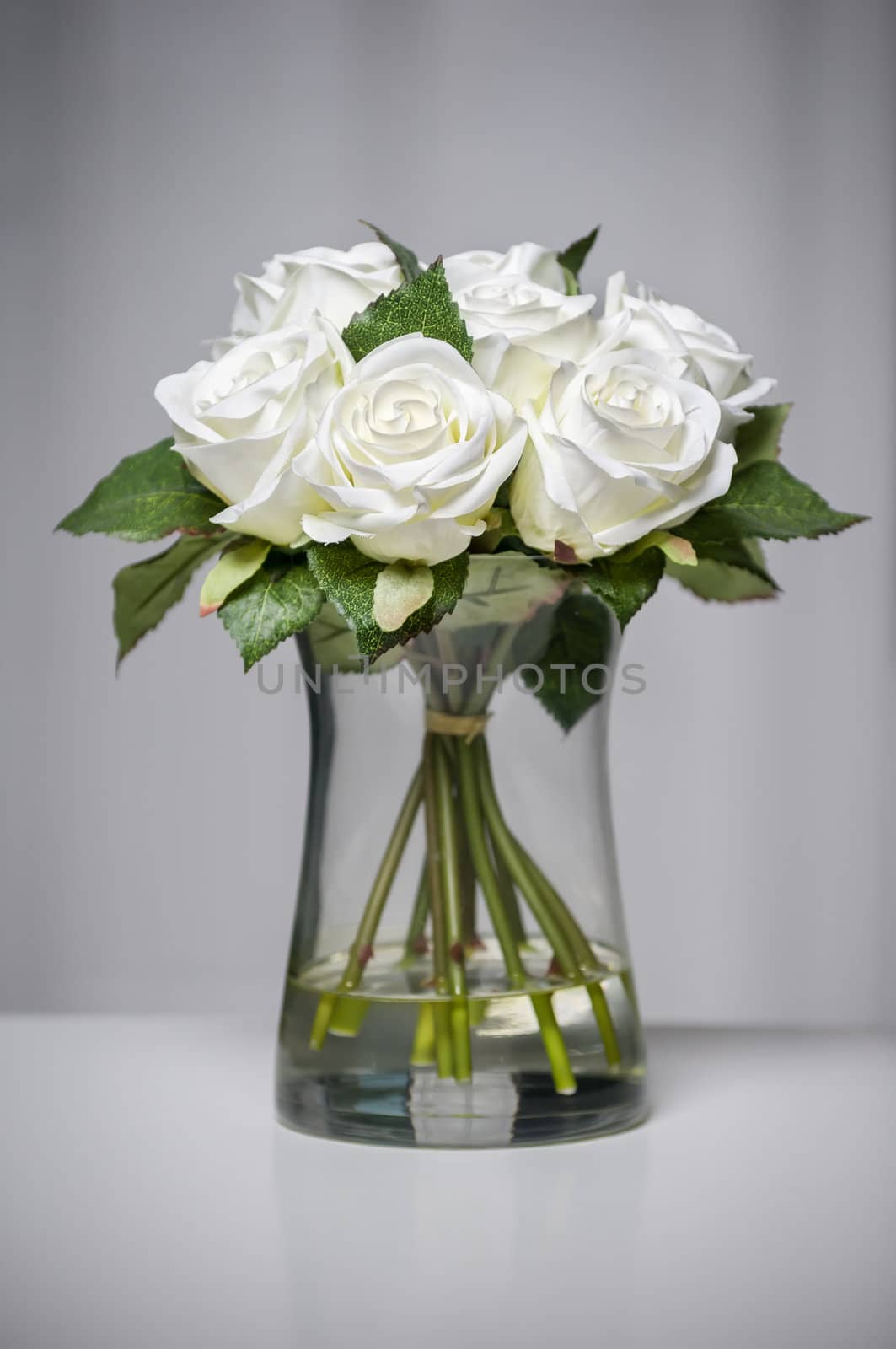 White roses in vase by Shane9