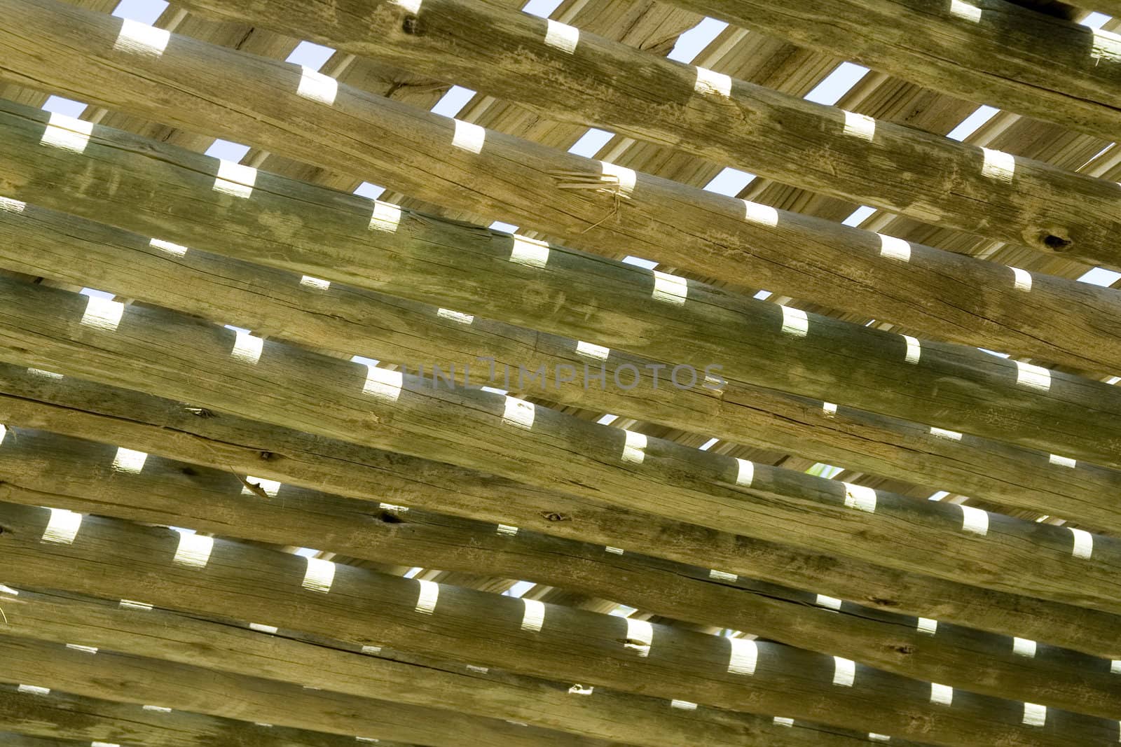 Stylized wooden pergola roof against the blue sky is visible through the roof structure pergolas