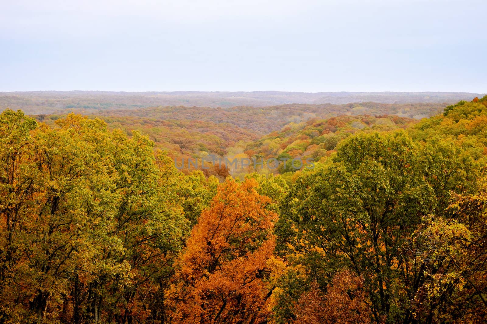 Brown County State Park