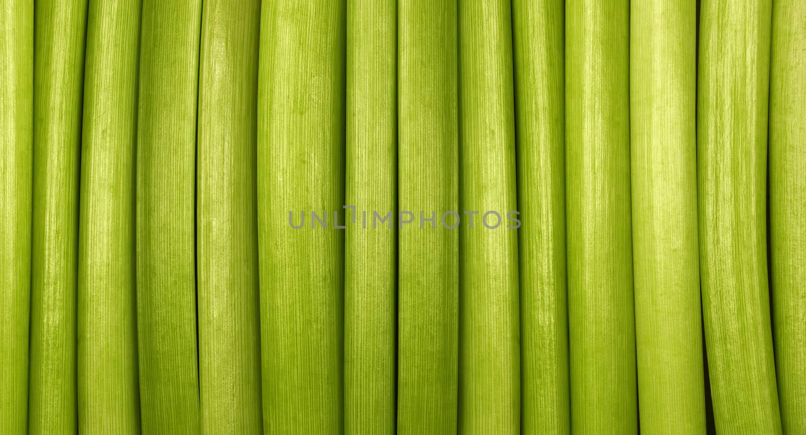 Green background made from organic material - cut flowers