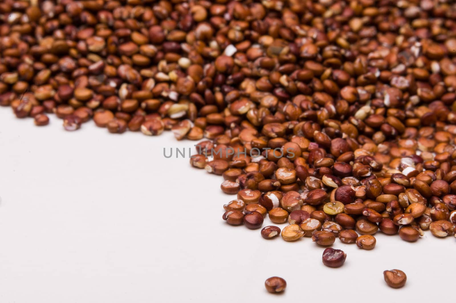 Close up macro shot of organic red quinoa on white.