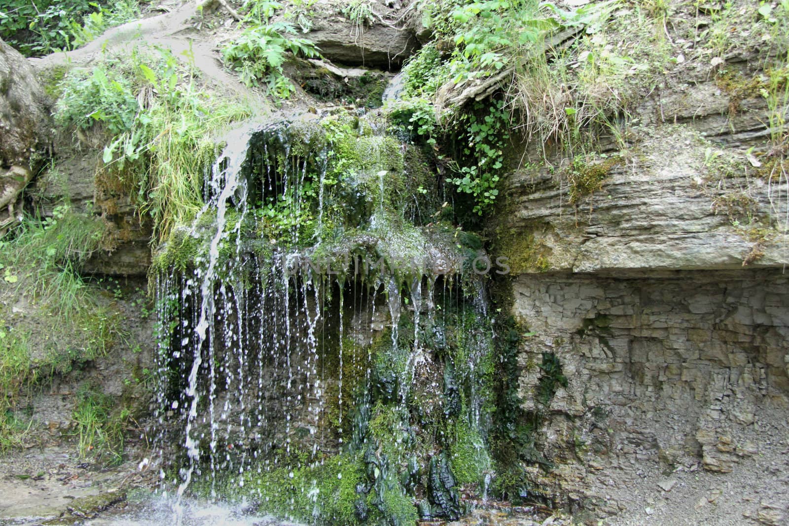 Dripping from the top of the creek