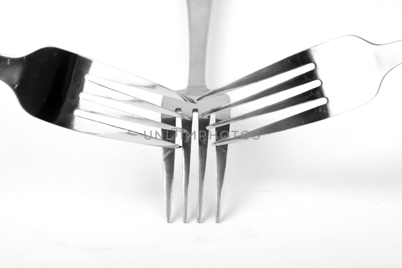 Shiny stainless steel forks on a white background