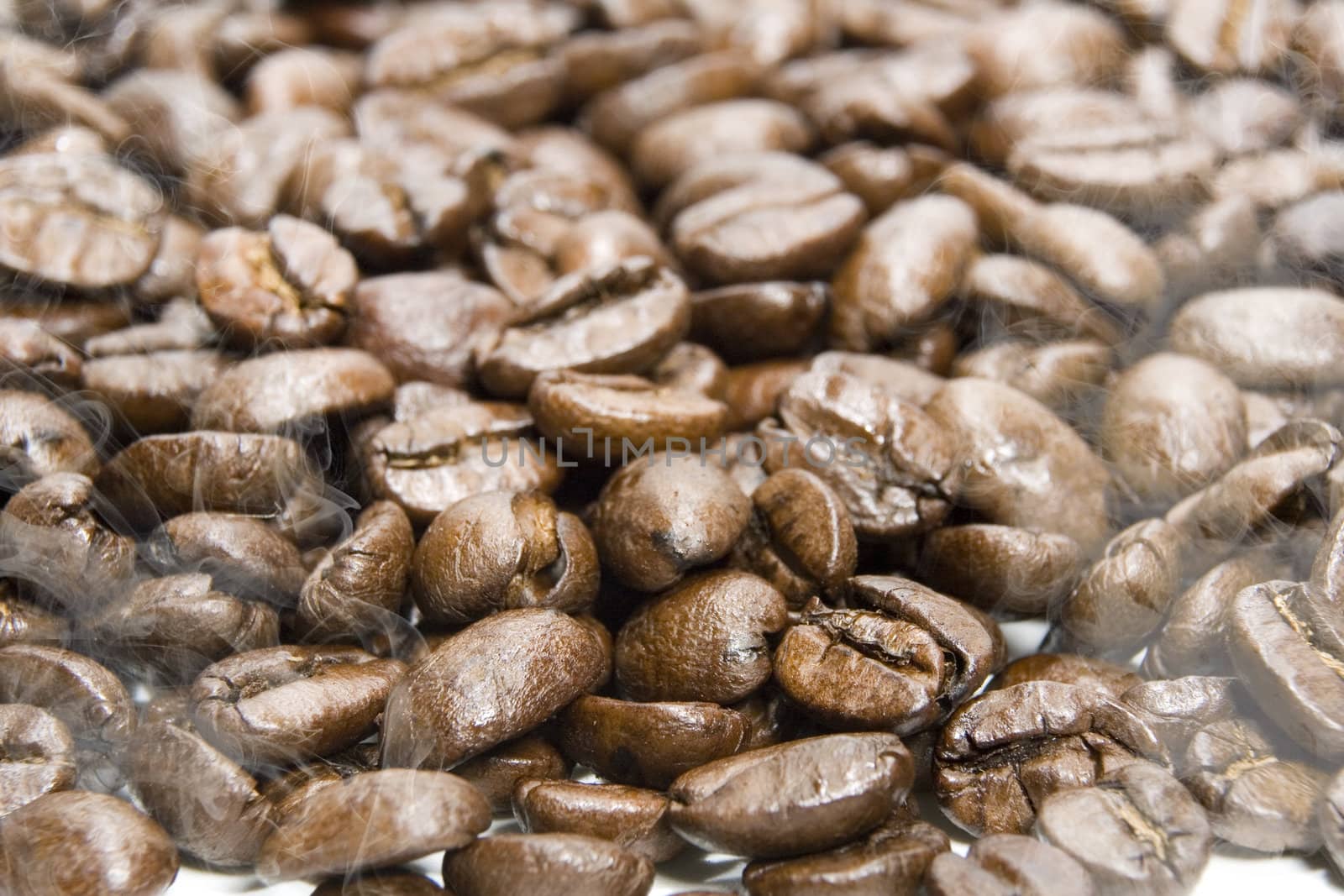 Fresh roasted coffee beans on a white background