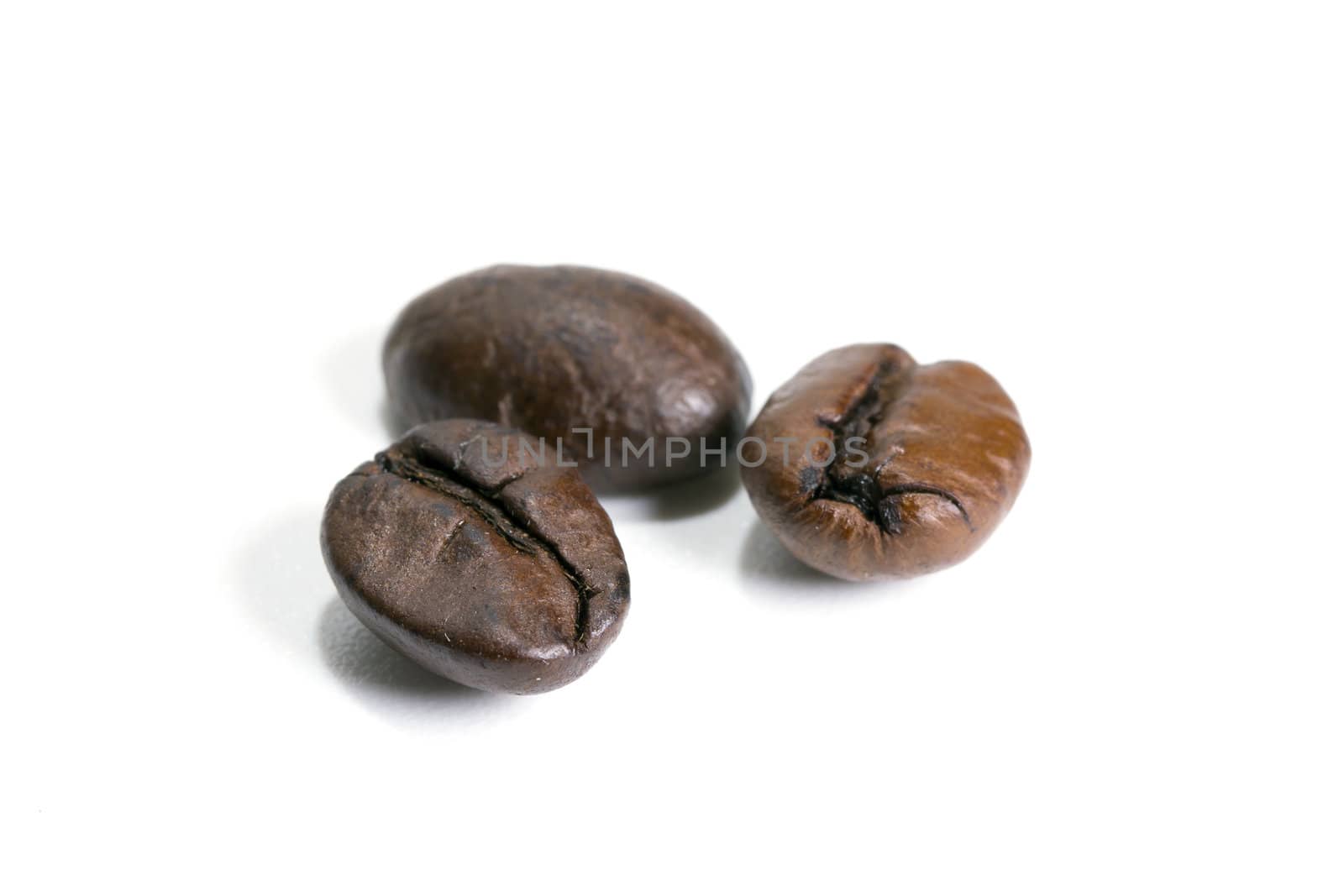 Fresh roasted coffee beans on a white background