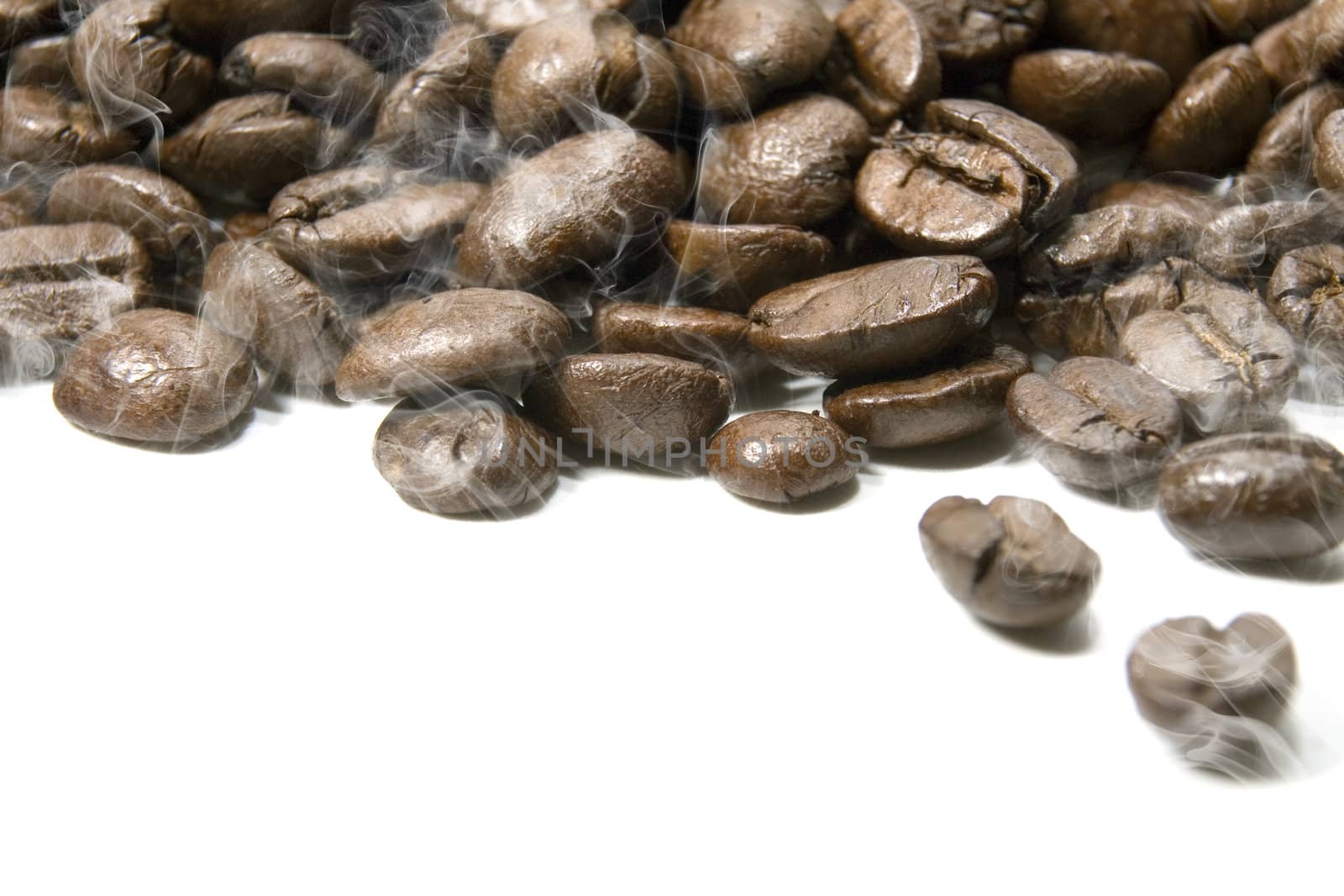 Fresh roasted coffee beans on a white background