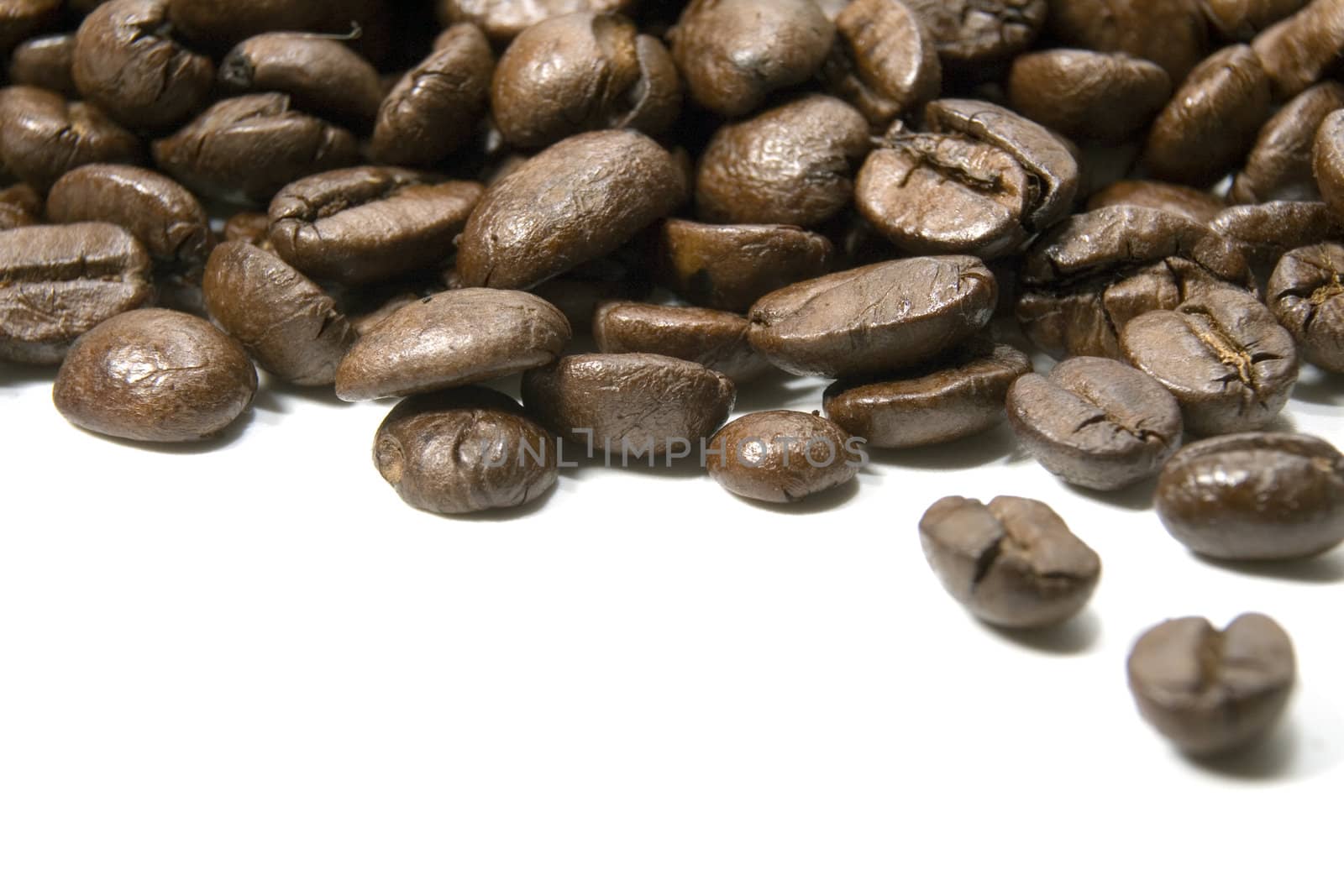 Fresh roasted coffee beans on a white background