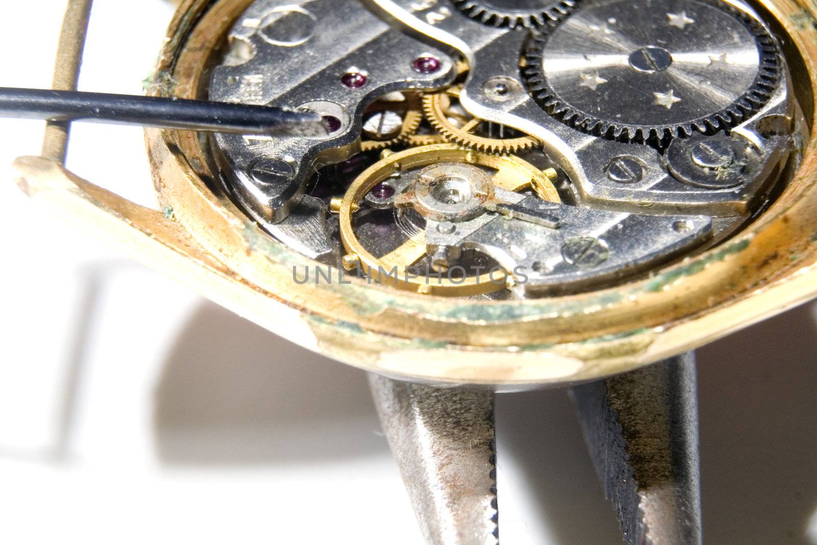 The mechanism of old watches on white background