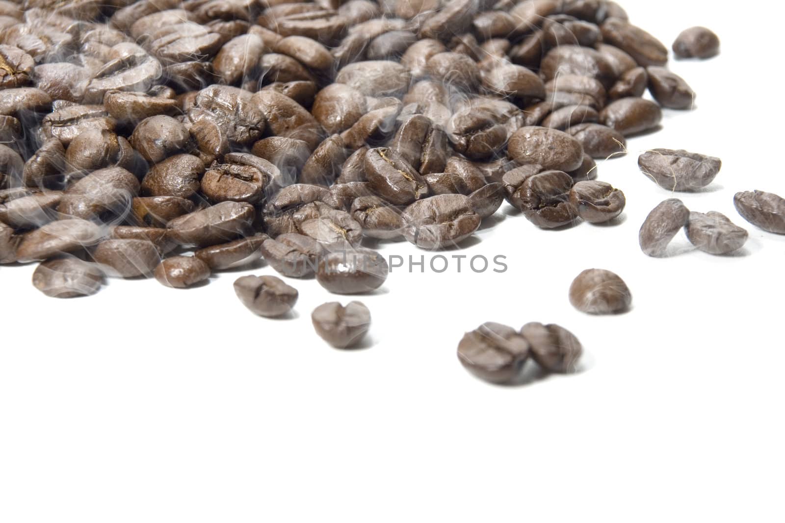 Fresh roasted coffee beans on a white background