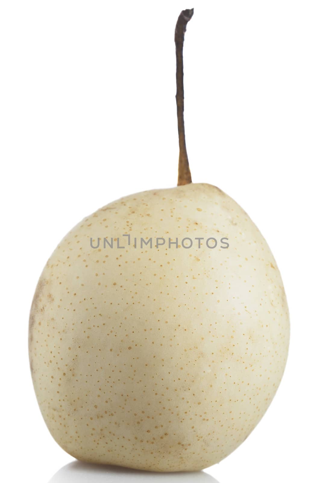 Asian Pear on white background with shadow