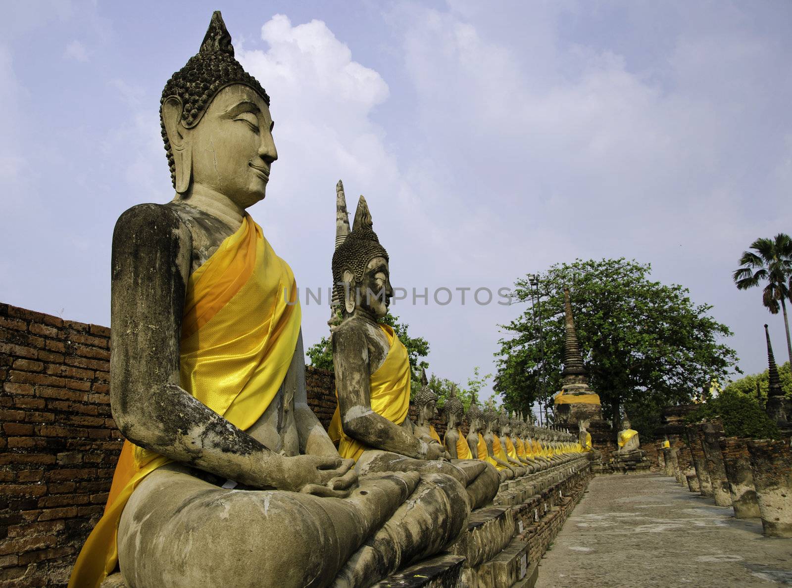 Buddha statues in a row at "Wat Yai-Chaimongkol temple in Ayutth by siraanamwong