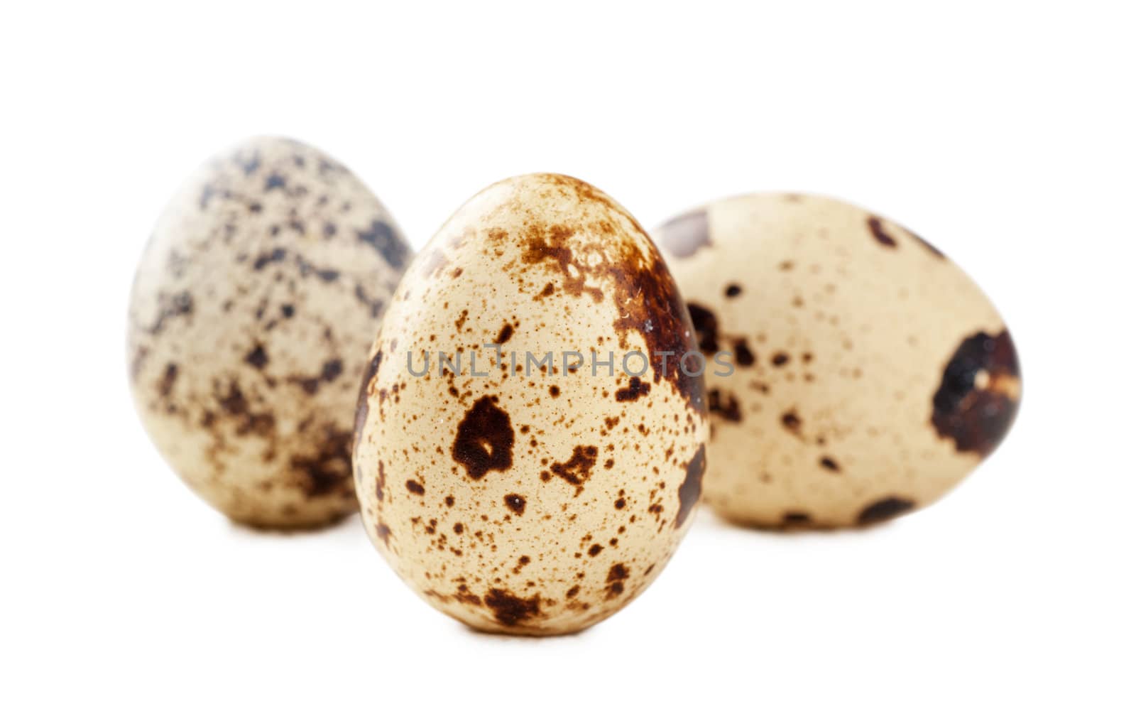 Closeup view of three quail eggs over white background