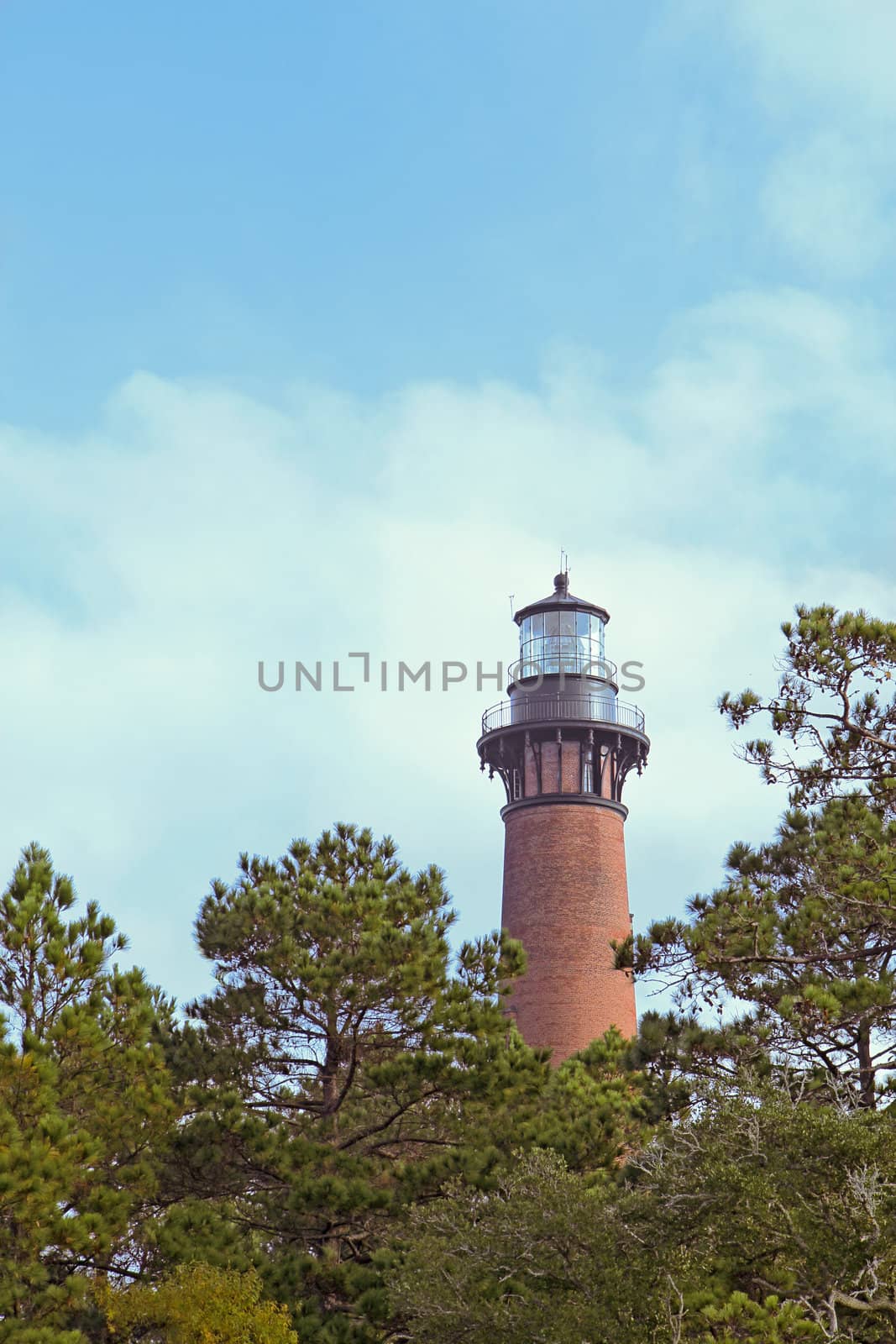 The red brick structure of the Currituck Beach Lighthouse rises over pine trees at Currituck Heritage Park near Corolla, North Carolina