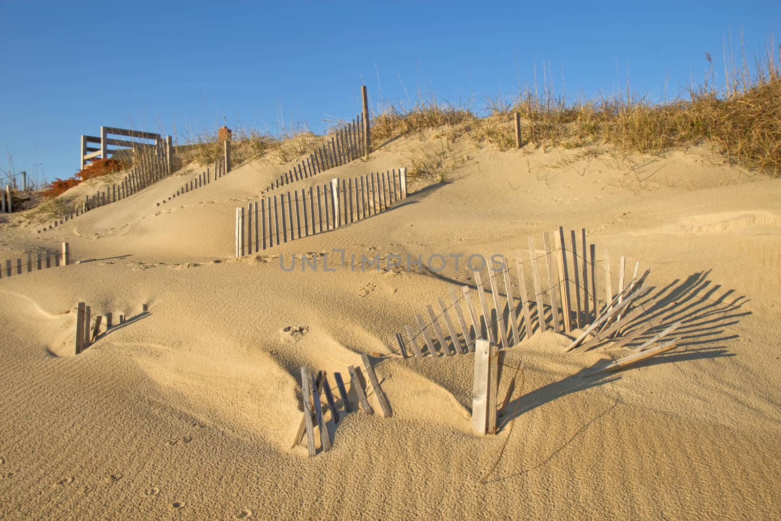 Snow fence on the beach at Nags Head, North Carolina by sgoodwin4813